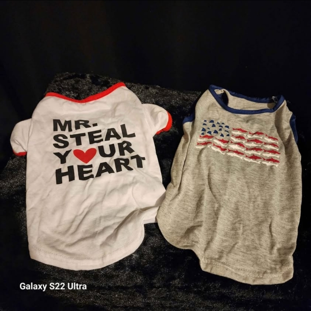 Medium Dog Shirts